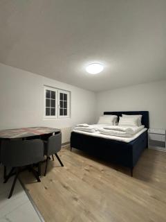 WEF and Ski Luxury Apartment AK - 2