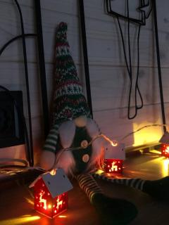 Equi Lis - будиночки для відпочинку - 5