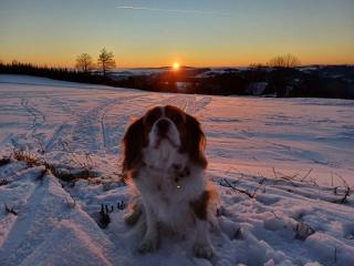 Apartmány Vila Jestřabí v Krkonoších - 5