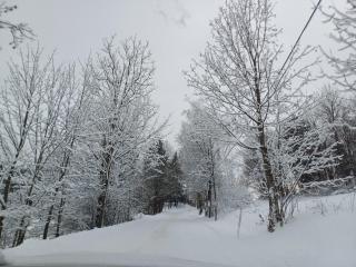 Apartmány Vila Jestřabí v Krkonoších - 4