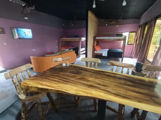 Cabaña entre aves cerca a Filandia y Salento - 9