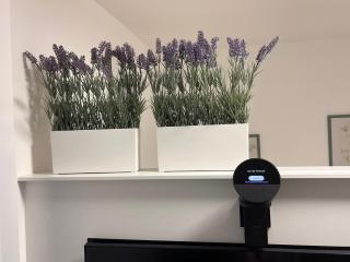 Studio marine-green - 4