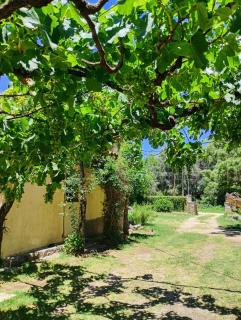 Casa Los Naranjos - 3