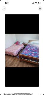 Cabaña Valdivia - 4