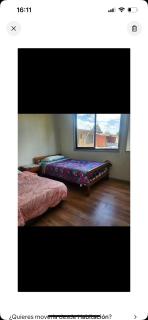 Cabaña Valdivia - 1