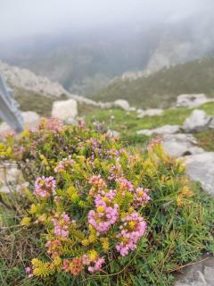 Casa Gina, espectacular alojamiento en plena naturaleza! - 9