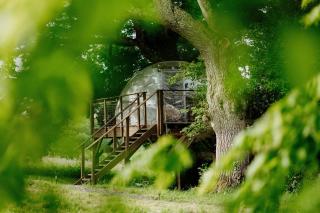 les bulles perchées de lartigue - 7