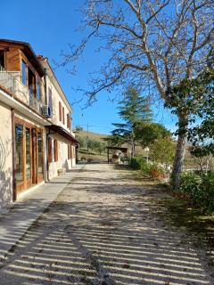 Cottage Il Voltigno - 5