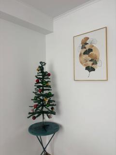 ApartHotel Art Bakuriani room 201 - 5