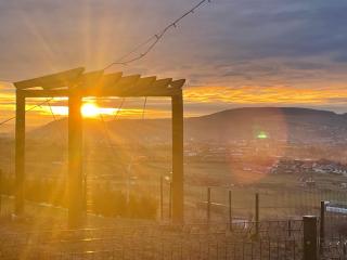 Sunset Hills Transylvania - 0