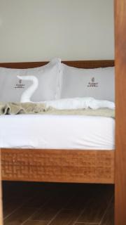 Ellesea's Callif Studios - 2