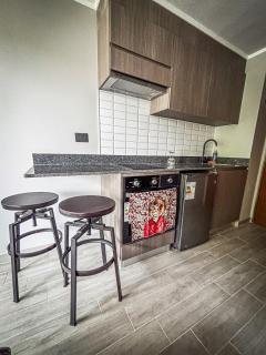 Apartment in Valdivia steps from the waterfront - 3