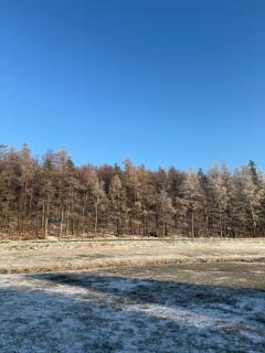 Pod Śnieżnymi Kotłami - 5