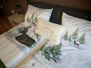 Mountain studio ASP E63 Borovets Gardens - Borovets - 5