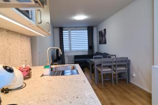 Čenětická Apartment - Prag - 1