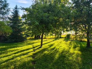 Ferienhaus Ellmi - 8