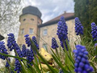 Schloss1611 B&B - 0