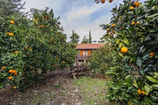 House Holiday Dilek - 4