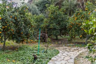 House Holiday Dilek - 5