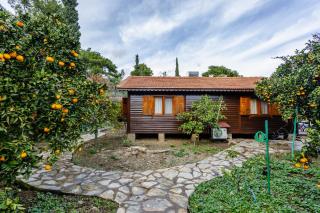 House Holiday Dilek - 7