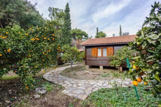 House Holiday Dilek - 8