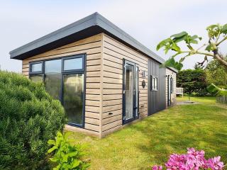 Nice chalet in Hollum near dunes - 0