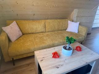 Apartament Chowańcówka z widokiem na góry typu studio obok stoków narciarskich i blisko basenów termalnych - 6