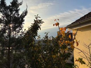 Touch & Stay - Oase mit Stil - 4