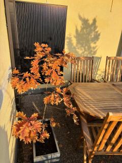 Touch & Stay - Oase mit Stil - 3