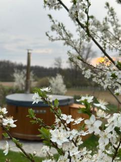 Wine & Relax Mezi Sklepy - 6