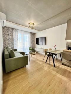 Piast Apartment - free parking - 9
