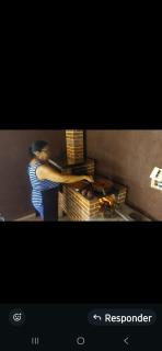 Chacara do Araujo - 0