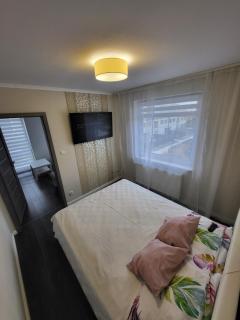 Apartament Daisy 2 - 5