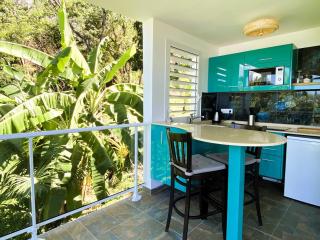 Espace Harmonie - Gîte Lagon Deshaies - 5