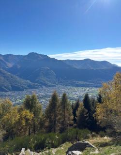 Rustico Guidotti - 5