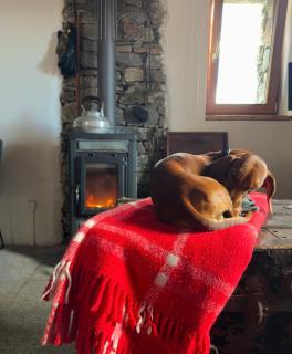 Rustico Guidotti - 3