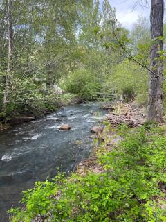 RV Stays at Handsfull Farm site only - 5