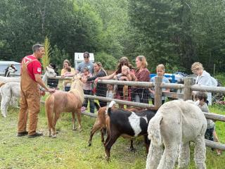 RV Stays at Handsfull Farm site only - 2