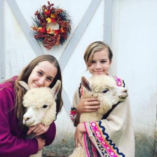 RV Stays at Handsfull Farm site only - 4