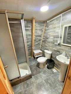 Araucaria Lodge Cabaña Alpina cerca del Parque Conguillío - 1