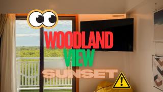 AquaHorizon Woodland SunsetView Art Condominium - 0