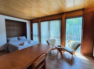 CAUQUENES, monoambiente centrico - 8