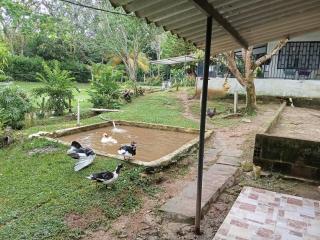 El Paraíso - Rivera - 8