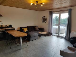 Apartment in Froidchapelle near dams - 4