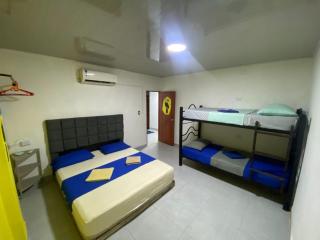 Fauna - Santa Marta - 1