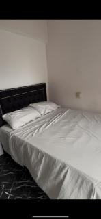 Hermoso Apartamento en barrio sur - 3