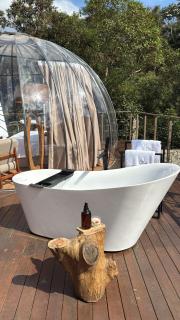 Cabana Bolha Realeza - 6