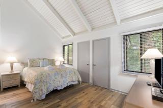 48 Night Heron in Sea Pines, HHI SC - Sleeps 6 - 9