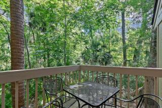 48 Night Heron in Sea Pines, HHI SC - Sleeps 6 - 2