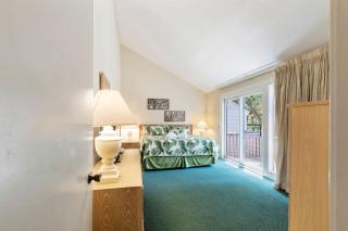 Spacious 3 BR 3 Bath HHI Villa in Sea Pines Resort - 8